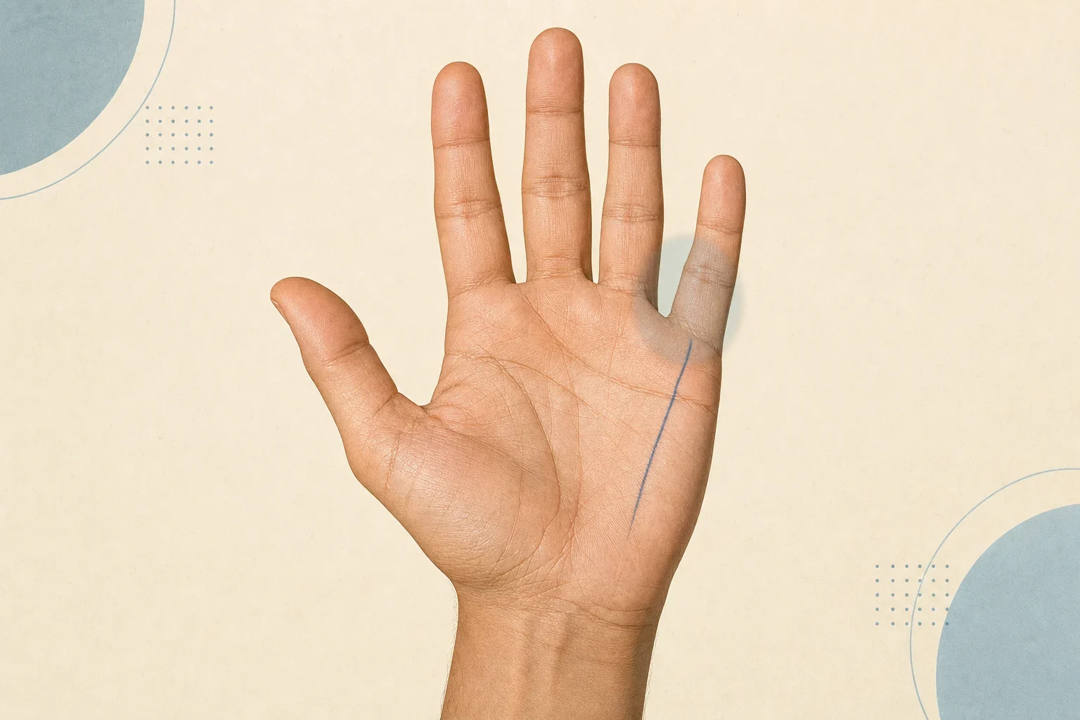 Right palm with the Mount of Mercury below the little finger highlighted and a Mercury line traced toward it