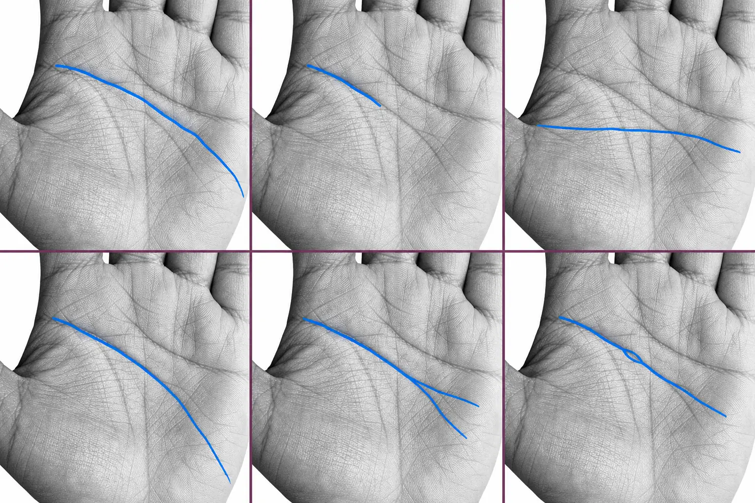 Six palm panels showing common head-line variations highlighted in blue