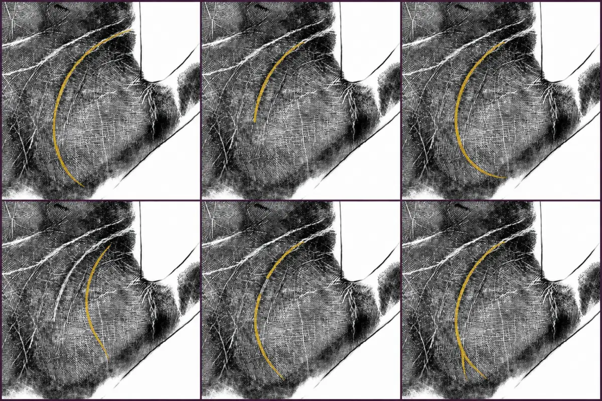 Six palm-print panels showing common life-line variations highlighted in gold
